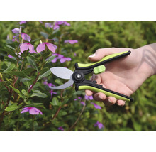 Zahradní nůžky v akci na rostlině