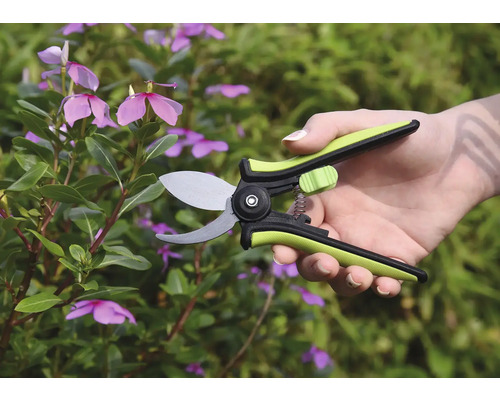 Zahradní nůžky v akci na rostlině