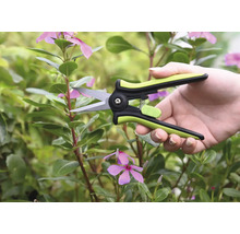 Osoba stříhá stonek katarantu růžového zahradními nůžkami