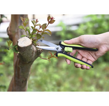 Zahradničení se zahradními nůžkami na stromě