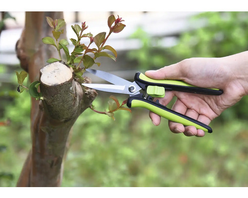 Zahradničení se zahradními nůžkami na stromě