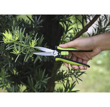 Zahradní nůžky stříhají větev