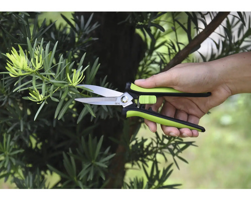 Zahradní nůžky stříhají větev