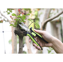 Zahradní nůžky stříhají větev