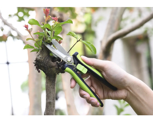 Zahradní nůžky stříhají větev