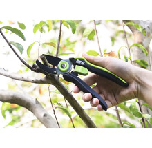 Zahradní nůžky stříhají větev