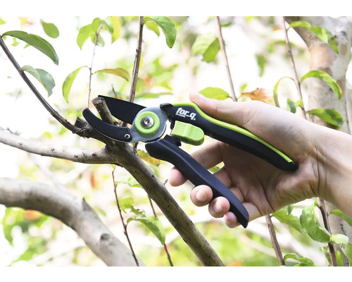 Zahradní nůžky stříhají větev