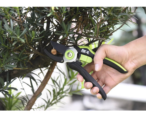 Osoba stříhá větev zahradnickými nůžkami značky For Q.