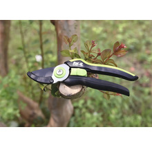 Zahradní nůžky na stříhání větví