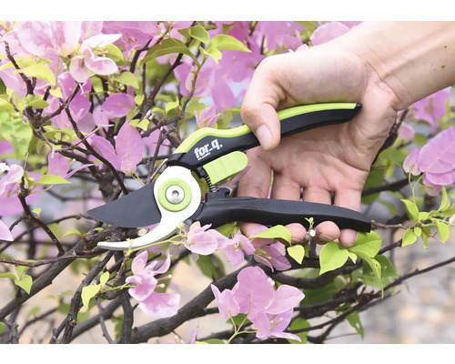 Zahradní nůžky stříhají větev s květy