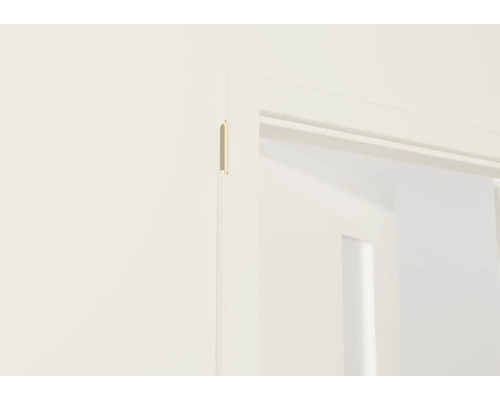 Detail interiérových dveří s rámem dveří