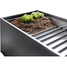 Zvýšený záhon se zeminou a salátem