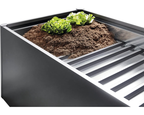 Zvýšený záhon se zeminou a salátem