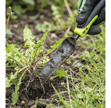 Odstraňovač plevele se používá k odstraňování pampelišek