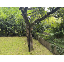 Sklízeč jablek v provozu pod jabloní na zahradě