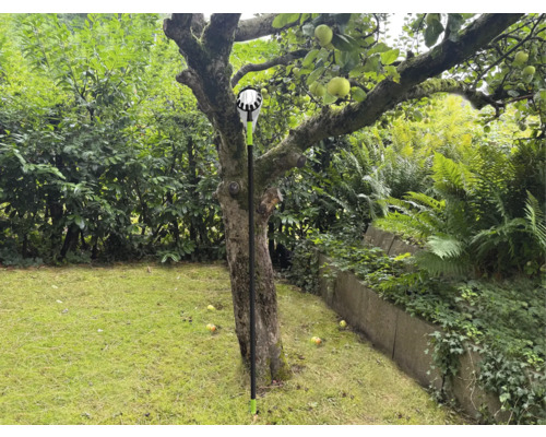 Sklízeč jablek v provozu pod jabloní na zahradě