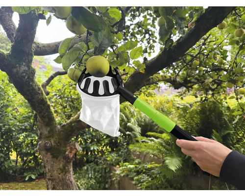 Sběrač jablek v akci pro sklizeň jablek ze stromu.