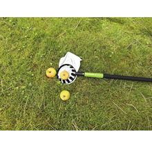 Česáč jablek s jablky na trávníku