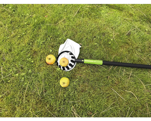 Česáč jablek s jablky na trávníku