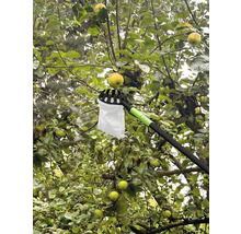 Sklízeč jablek používaný na jabloni