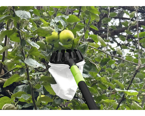 Sběrač jablek v provozu na jabloní