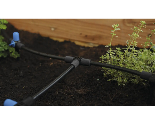 Zavlažovací systém s kapkovou hadicí v zahradním záhonu pro zavlažování rostlin