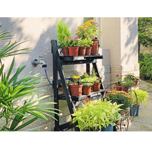 Květiny na polici a v květináčích venku.