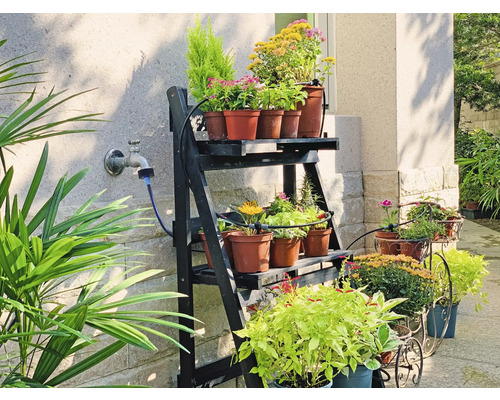 Květiny na polici a v květináčích venku.