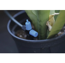 Kapátko zavlažovacího systému v květináči s rostlinou