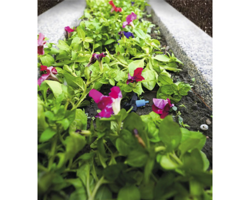 Květinový záhon se zavlažovacím systémem pro rostliny