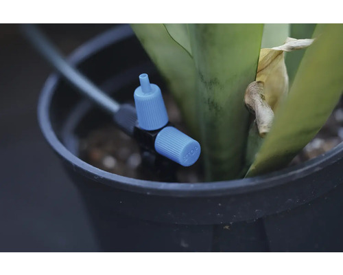 Zavlažovací systém s nastavovacím kohoutem v květináči