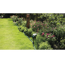 Zavlažování zahrady pomocí zavlažovače trávníku v kvetoucí zahradě.