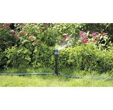 Zahradní scéna se zavlažovačem trávníku, který zavlažuje rostliny