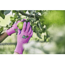 Detailní záběr rukou v zahradnických rukavicích trhajících jablko