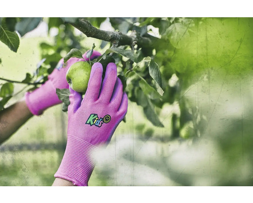 Detailní záběr rukou v zahradnických rukavicích trhajících jablko