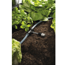 Zavlažovací systém v zeleninovém záhonu s bazalkou a salátem