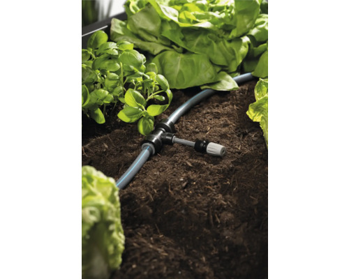 Zavlažovací systém v zeleninovém záhonu s bazalkou a salátem
