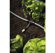 Zavlažovací systém s hadicí, T-kusem a rostlinami v zahradním záhonu