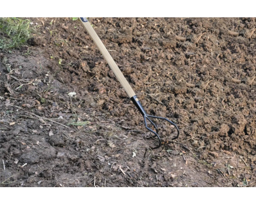 Trojzubá zahradní motyka s dřevěnou rukojetí v zahradní půdě