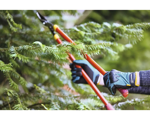 Péče o stromy pomocí nůžek na větve na stromě