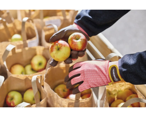 Ruce v zahradních rukavicích drží jablka nad papírovými taškami plnými jablek