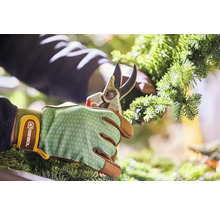 Osoba stříhá větev jedle zahradnickými nůžkami a má na sobě zahradnické rukavice.