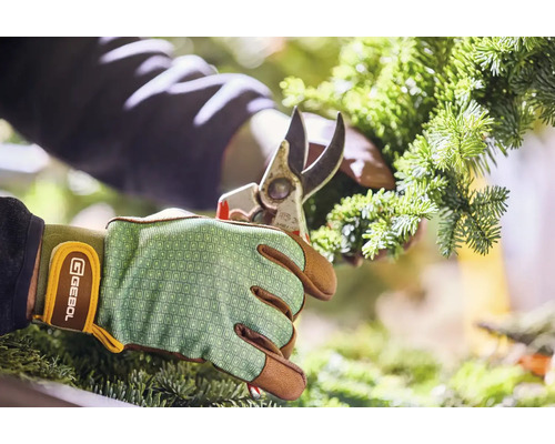 Osoba stříhá větev jedle zahradnickými nůžkami a má na sobě zahradnické rukavice.