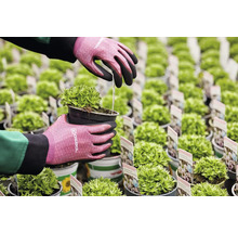 Zahradník se zahradními rukavicemi sází horský mech v květináči