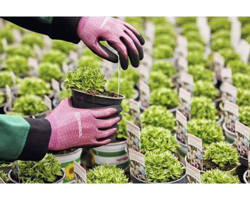 Zahradník se zahradními rukavicemi sází horský mech v květináči