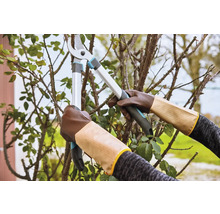 Zahradní nůžky stříhají větve, nošené se zahradními rukavicemi