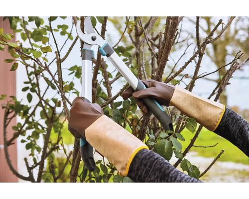Zahradní nůžky stříhají větve, nošené se zahradními rukavicemi