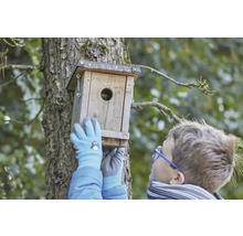 Chlapec montuje dřevěnou ptačí budku na strom