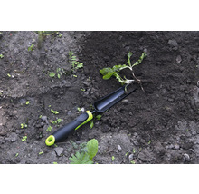 Zahradní nářadí a rostlina v zahradní půdě