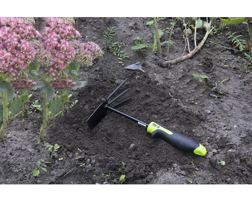 Zahradní nářadí s hráběmi a motykou v záhonu vedle rostliny